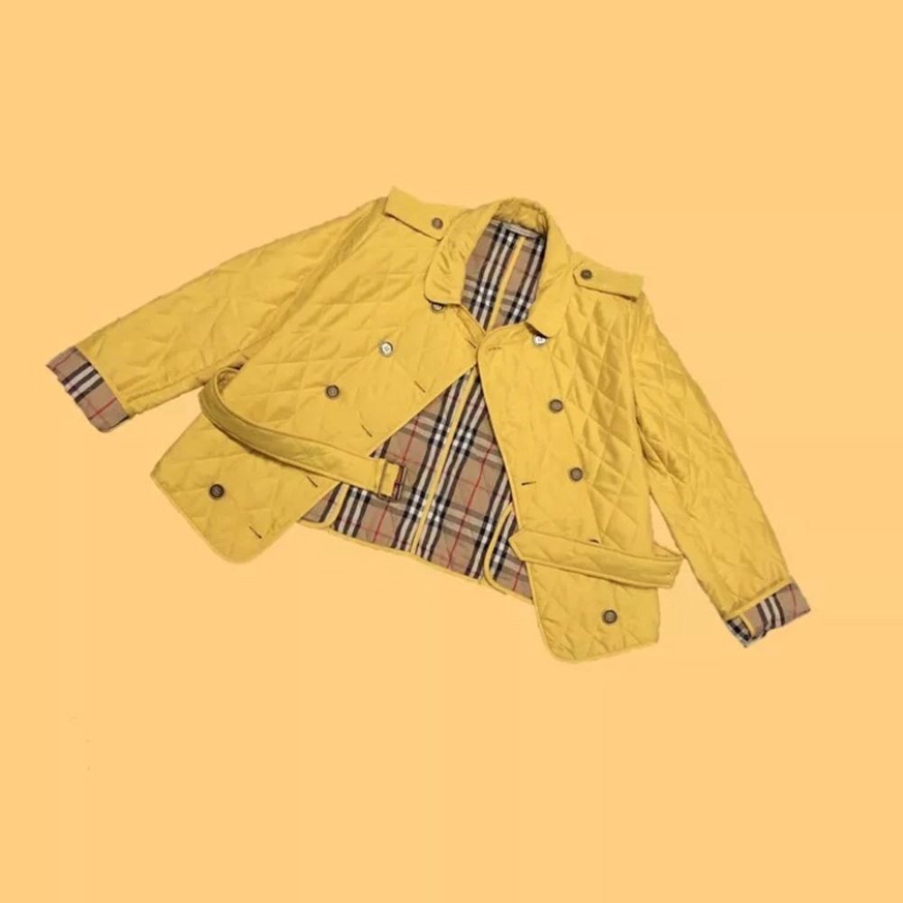 Burberry jacket